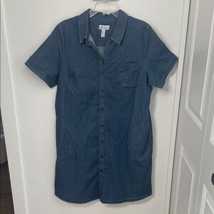 Denim and Company denim dress